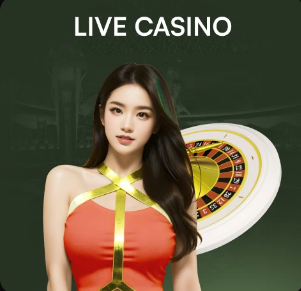 瓜迪奥拉：很遗憾没能体验11对11 换人是为了更好控制中场